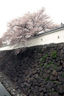 ���h�ȐΊ_�ƍ�