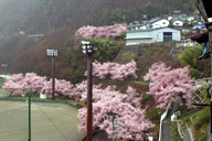 �����̊X�͉J