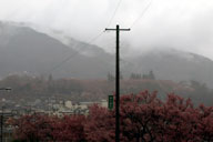 ����������J�ɉ���