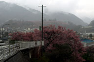 ������������]