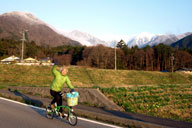 ������������C�ɉ���