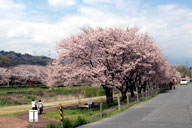 ����쉈���̍�����