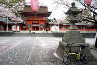 ��ԑ�Ђ̎R��