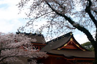 �����̍�������