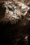 �������̂��x�ɉf���