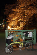 �������̖��