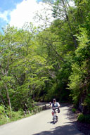 ��̑q��Ɍ�����