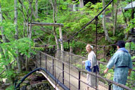 �H��͘I�V���C�Ɍ�����