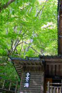 �I�V���C����V�΂��y����