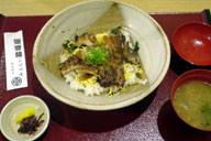 ���H�͌��q��