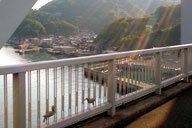 �p���N�Ɍ�����ꂽ�L�l�勴