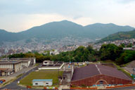 �����������傫�Ȍ��̒�