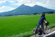 �֒�R�����ڂɋ�����o��