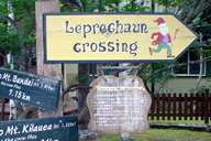 �uLeprechaun Crossing�i�d�����f���Ӂj�v�̊Ŕ�