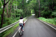 ��ʗʂ̏��Ȃ��ΔȖk�[