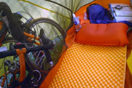 ���]�Ԃƈꏏ�ɐQ��