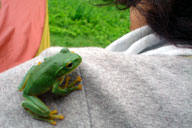 �����J�G��