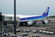 ���ꂩ���荞��ANA�@��