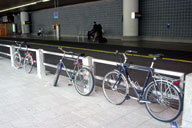 ��������{�����ꂽ��䂻���Ȏ��]��