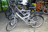 �n�u����14�i�M�A��n�u�_�C�i���𓋍ڂ���������