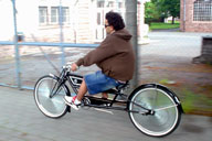 riese und m&uuml;ler�{�Ђ֌������Ј�