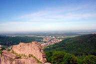 �������Ă������[�g���ቺ��