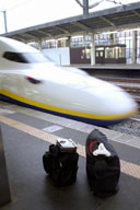 �A��̐V�������_�C��������Ă���